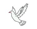 Detailed Flying White Pigeon Illustration