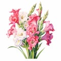 Detailed Gladiolus Bouquet Watercolor - Naturalistic Botanical Art