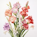 Detailed Gladiolus Bouquet Watercolor - 1960s Dutch Naturalistic Botanical Art