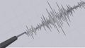 Detailed Graphical Representation of Earthquake Vibrations Captured on a Seismograph against the grid background. Royalty Free Stock Photo