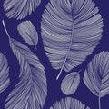 Grey Line Drawing Feathers Seamless Pattern on Blue Background