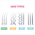 Detailed hair types chart set of strands growth patterns