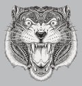 Detailed Hand Drawn Abstract Tiger