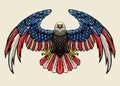 Detailed Hand Drawn Bald Eagle With American Flag Color Royalty Free Stock Photo