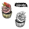 Detailed hand drawn black and white, color illustration of cupcake. sketch. Vector. Elements in graphic style menu.