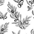 Detailed hand drawn black and white illustration seamless pattern of olive branch, leaf. sketch. Vector. Elements in Royalty Free Stock Photo