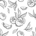 Detailed hand drawn black and white illustration seamless pattern of persimmon, date-plum, leaf. sketch. Vector Royalty Free Stock Photo