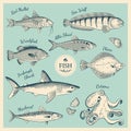 Vintage fish illustration set Royalty Free Stock Photo