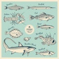 Vintage fish illustration set