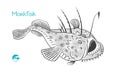 Monkfish hand-drawn illustration