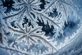 The intricate frost patterns on a window, providing a close-up view of the delicate beauty that Royalty Free Stock Photo