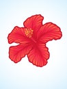 Detailed Hibiscus Flower