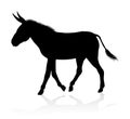 Donkey Animal Silhouette