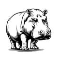 Detailed hippopotamus, black and white outline, animal illustration
