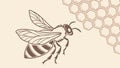 Detailed honey bee illustration with a subtle hexagonal honeycomb pattern. vector design Generative AI Royalty Free Stock Photo