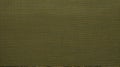 Olive Green Tonalism: Layered Mesh With Metallic Finish Canvas