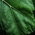 Detailed Hyperrealism: Close Up Of Green Leaf With Water Droplets