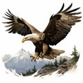 Detailed Illustration Of Bald Eagle In Flight With Comic Book Style Royalty Free Stock Photo