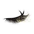 Detailed illustration  of long eyelashes Royalty Free Stock Photo