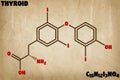 Detailed illustration of the molecule of Thyroid