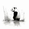 Detailed Illustration Of Panda Gazing Over Water