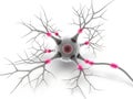 Detailed illustration of a single neuron with highlighted synapses Royalty Free Stock Photo