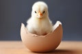 Detailed illustration of small chick hatching from egg, capturing joyous moment of new life emerging Royalty Free Stock Photo