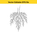 a detailed illustration of a tree root system in a vector editable format for design use Royalty Free Stock Photo
