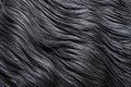 detailed image of black horse mane