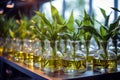 A detailed image of a laboratory setting for biotech crop development, space for text