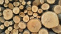 Detailed image of a pile of cylindrical logs with the cut ends