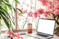 Laptop and flowers on a sunlit desk by the window Royalty Free Stock Photo