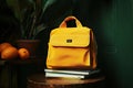 Detailed Image of Yellow Knapsack with Copybooks and Orange Royalty Free Stock Photo