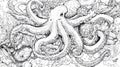 Detailed Black and White Octopus Artwork, Kraken, Deep Sea Creature, Marine Life, Ink Drawing Royalty Free Stock Photo
