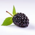 Detailed 8k Photo Of Blackberry On Ivory Background With Realistic Post Processing Royalty Free Stock Photo