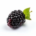 Detailed 8k Photo Of Blackberry On White Background
