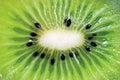 Detailed Kiwi Slice Cut Texture Pattern, Fruit Cross Section Macro, Horizontal Background Closeup Royalty Free Stock Photo