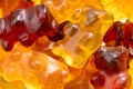 Close up shot of different gummy bears