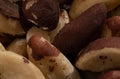 Large close up shot of para nuts Royalty Free Stock Photo
