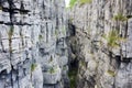 detailed limestone crevices