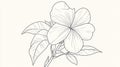 Petal Flower Drawing Outline - Simple Botanical Art Nature Vector Sketch Royalty Free Stock Photo
