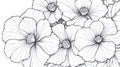 Intricate Black and White Floral Pattern, Detailed Line Art Royalty Free Stock Photo