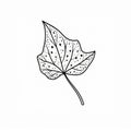 Detailed Line Drawing of a Single Leaf Royalty Free Stock Photo