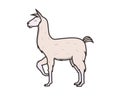 Detailed Llama with Standing Gesture Illustration Royalty Free Stock Photo