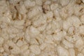 Detailed look at the whole grain bread . texture background Royalty Free Stock Photo