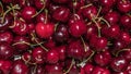 Detailed macro of delicious fresh ripe red cherries, food background Royalty Free Stock Photo