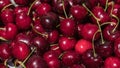 Detailed macro of delicious fresh ripe red cherries, food background Royalty Free Stock Photo