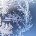 Detailed Macro of Intricate Frost Crystals Forming a Delicate Ice Pattern on Window Royalty Free Stock Photo