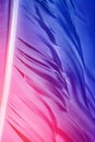 Colorful goose feathers in bright contrast light Royalty Free Stock Photo