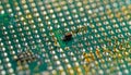Damaged CPU Pin Grid Array Close-Up Royalty Free Stock Photo